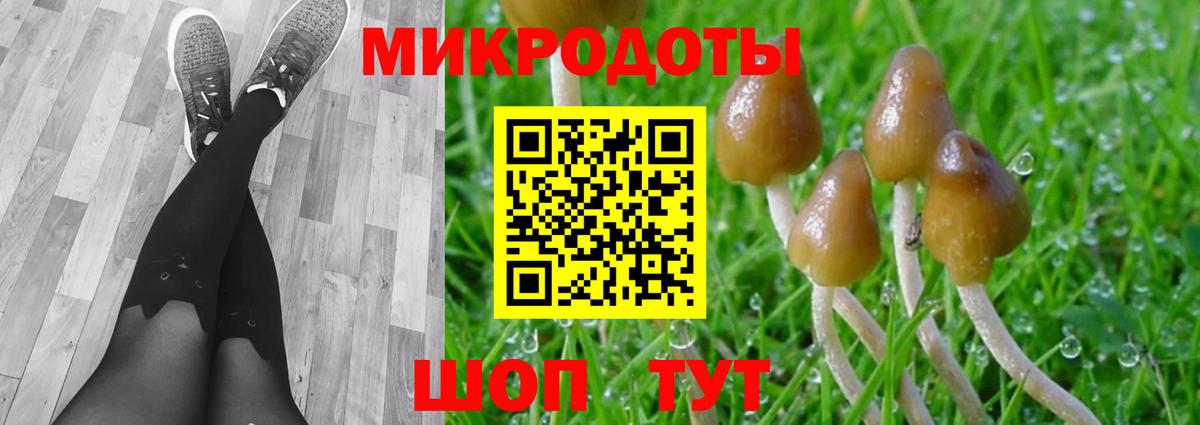 Галлюциногенные грибы мухоморы  как найти закладки  Вход с VPN  Ростов-на-Дону  Псилоцибиновые грибы Magic Shrooms 